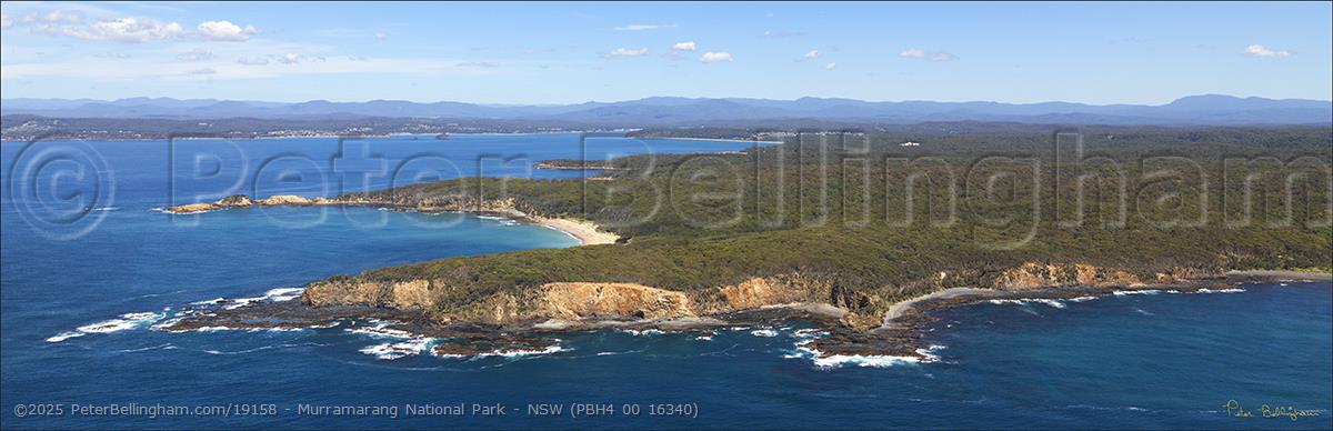 Peter Bellingham Photography Murramarang National Park - NSW (PBH4 00 16340)